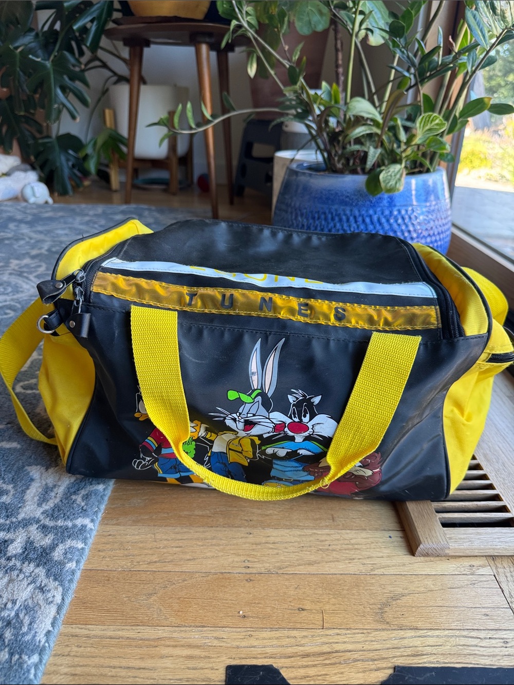 Vintage looney tunes space jam duffel bag